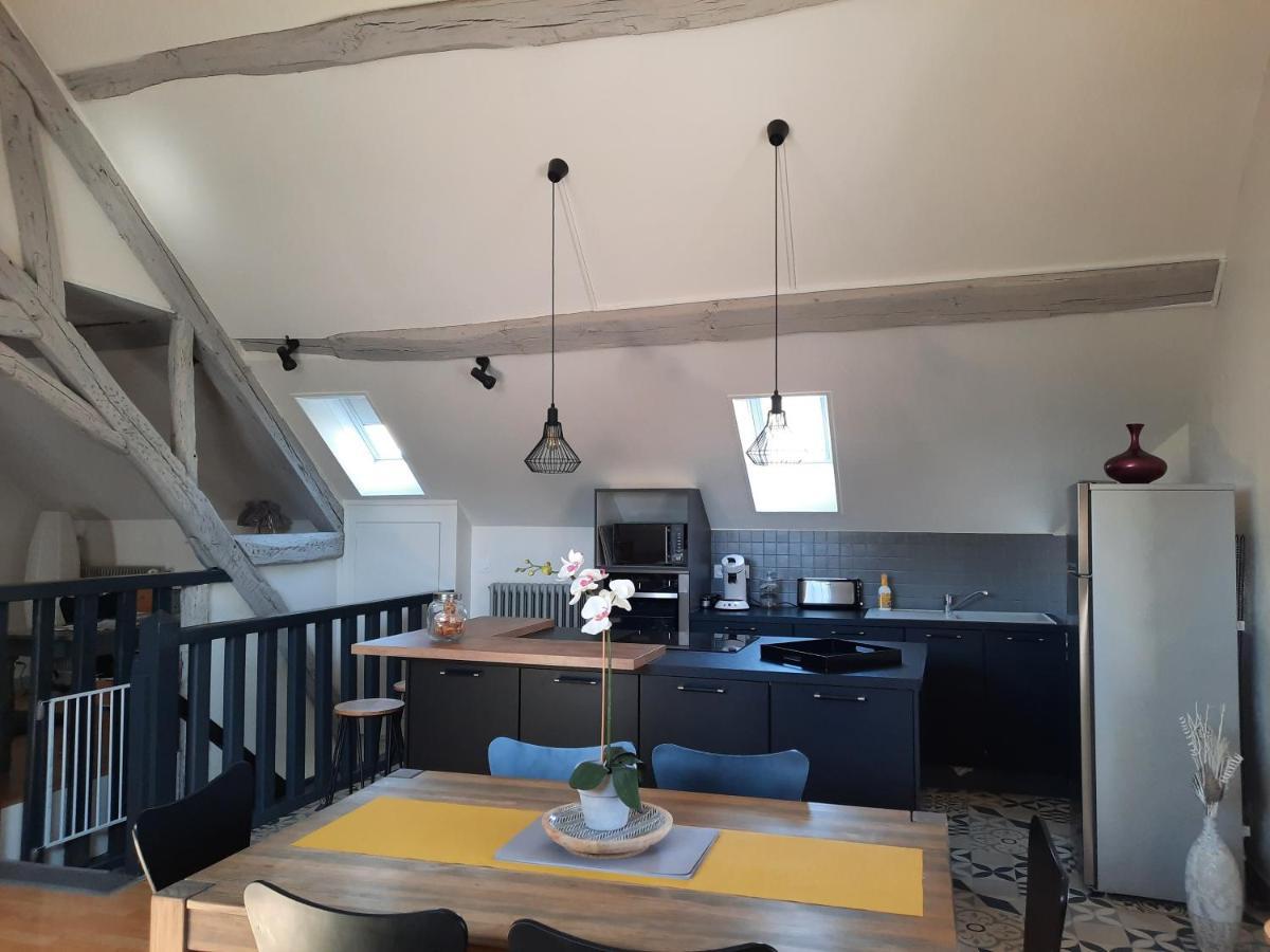 Grand Appartement Tout Confort Proche De Chambord Saint-Claude-de-Diray Exteriör bild
