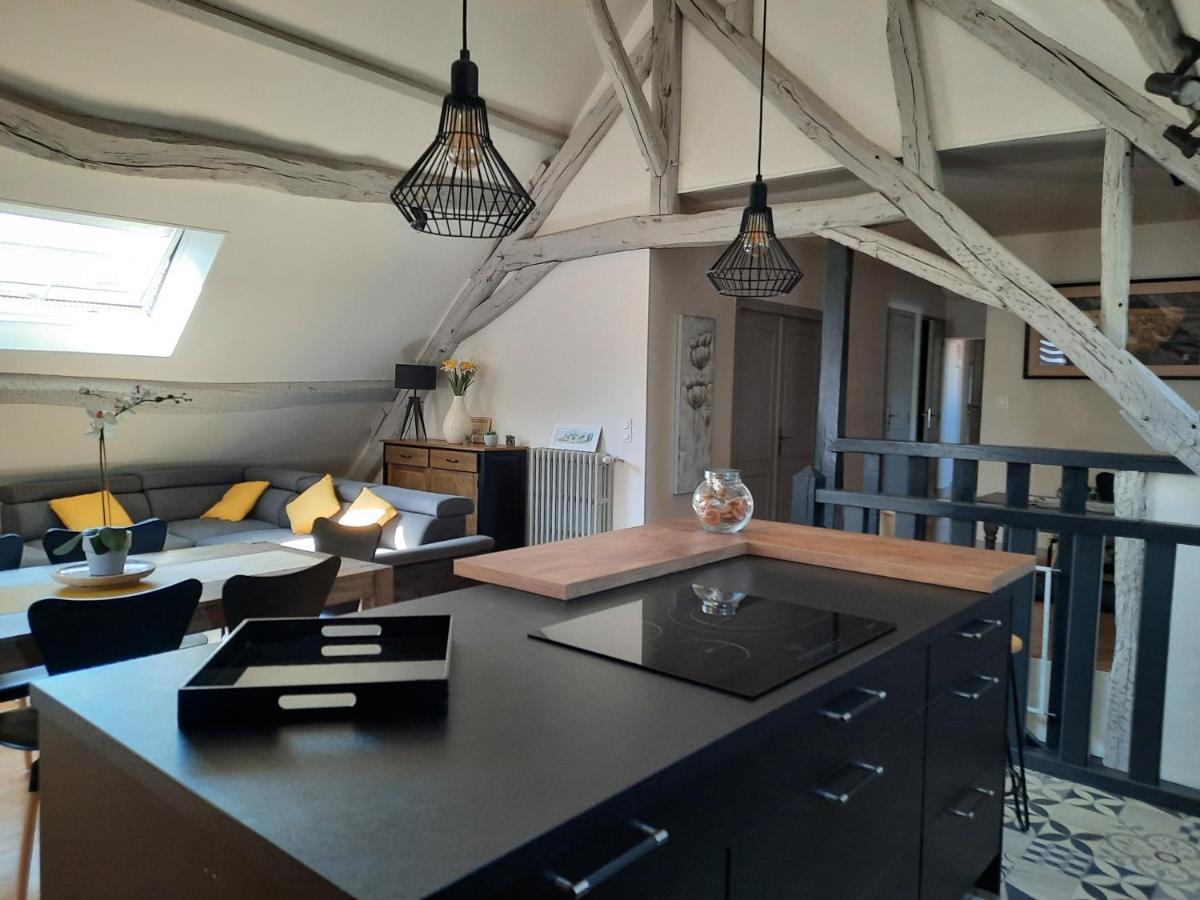 Grand Appartement Tout Confort Proche De Chambord Saint-Claude-de-Diray Exteriör bild