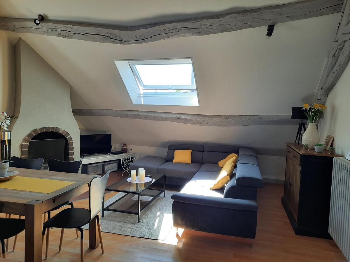 Grand Appartement Tout Confort Proche De Chambord Saint-Claude-de-Diray Exteriör bild