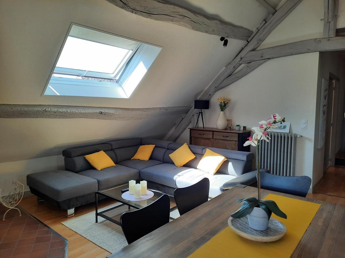 Grand Appartement Tout Confort Proche De Chambord Saint-Claude-de-Diray Exteriör bild