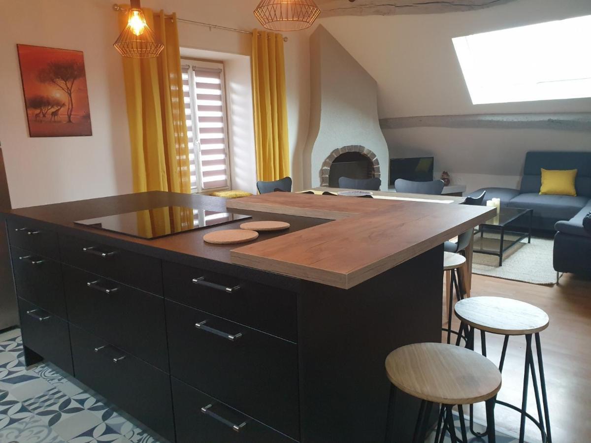 Grand Appartement Tout Confort Proche De Chambord Saint-Claude-de-Diray Exteriör bild